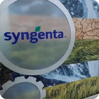 syngenta
